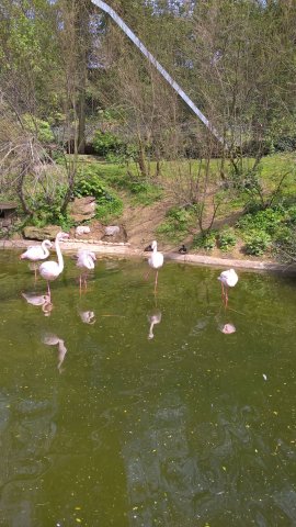 Ludwigsburg-Esslingen